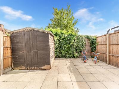 Picture 20
